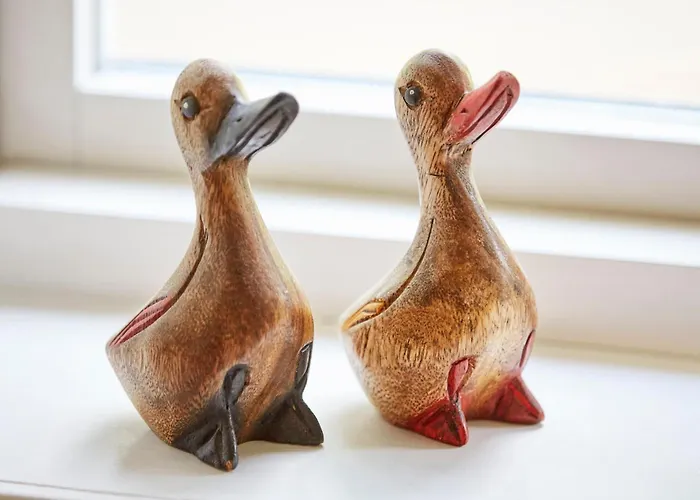 Entennest Im Witthues * Nieblum